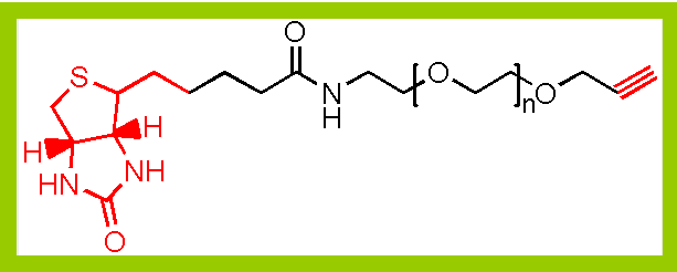 Biotin-PEG-Alkyne--