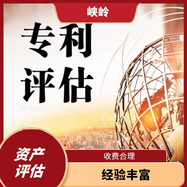 重庆发明技术资产评估需要提供资料 一对一服务