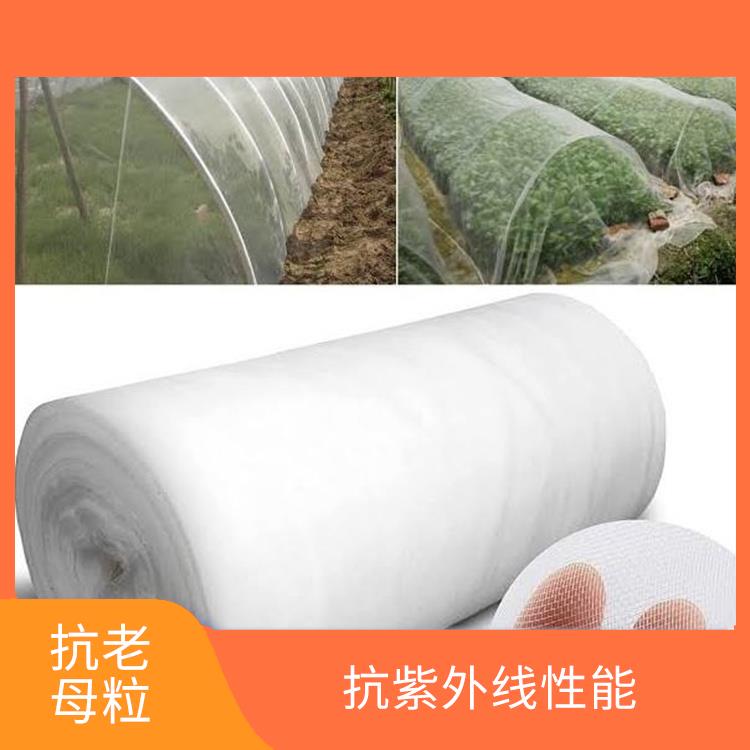 杭州圆丝抗老化母粒供应 广泛应用 环保性好 优异的抗老化性能