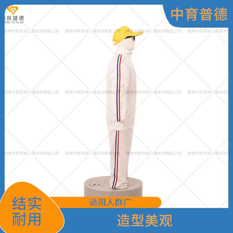 仿真不倒翁宣泄人厂家 造型美观 化学性稳定
