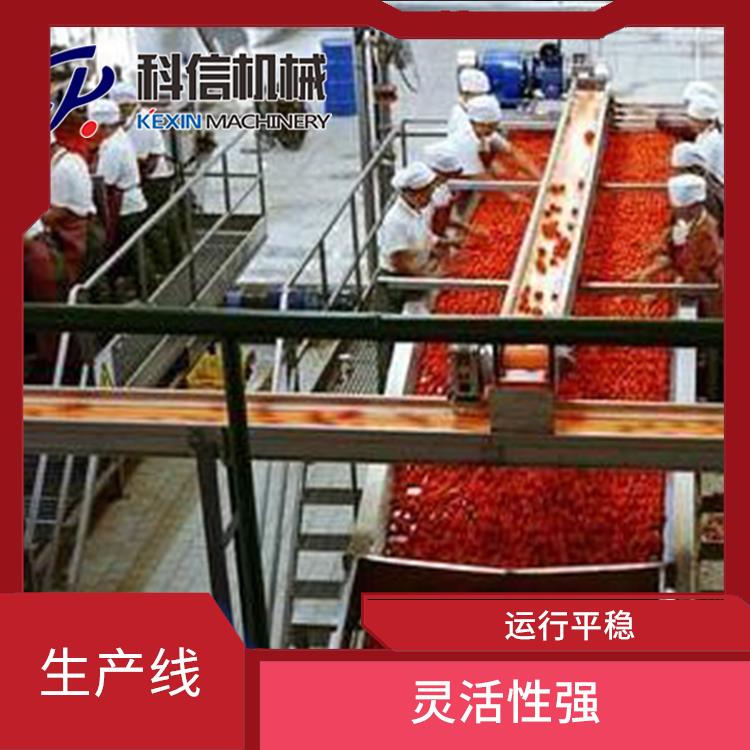番茄酱生产流水线设备 生产效率高 安全可靠
