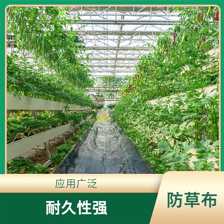 天津蔬菜种植防草布联系电话 耐久性强 易于安装和维护