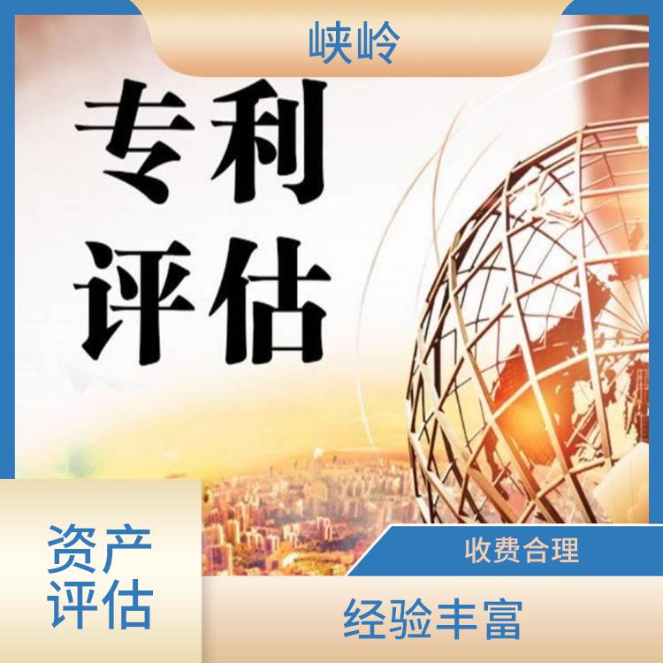 无形资产评估政策 可靠性较高