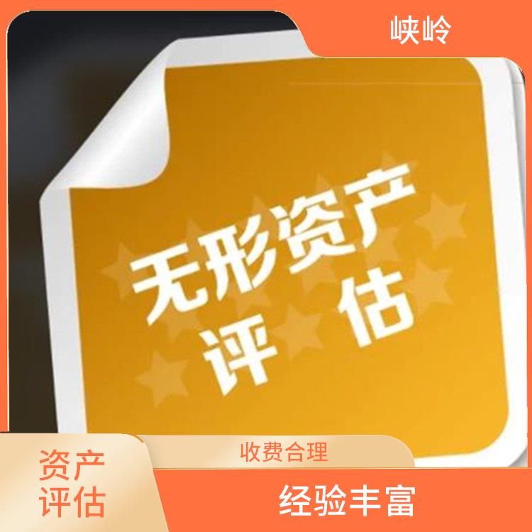 重庆商标资产评估收费依据 经验丰富 评估业务范围广