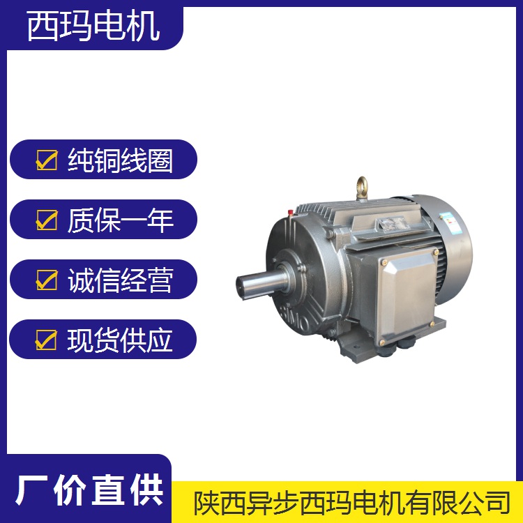 HZS/K系列双螺杆泵配套电机_YE4-315S-2/110KW_可做高原电机