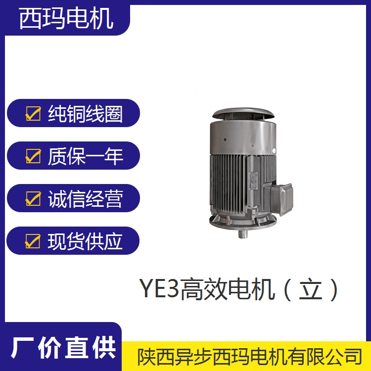 CZ系列标准化工泵辅传动电机_YE4-200L2-2/37KW_效率高