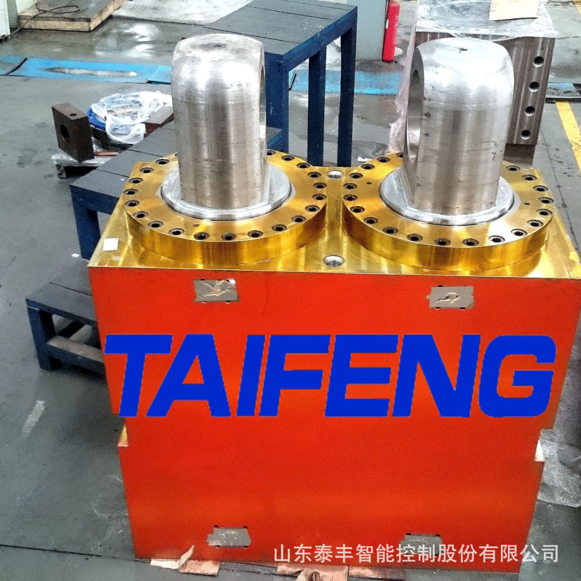 TAIFENG--厂家销售WS67K-400DH-00型数缸