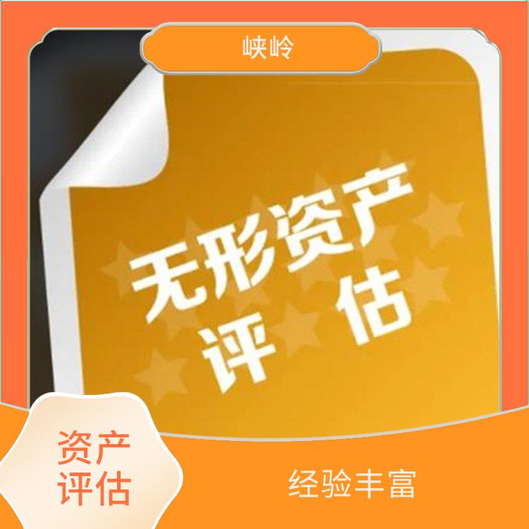 四川商标资产评估排名 多年评估经验 经验丰富