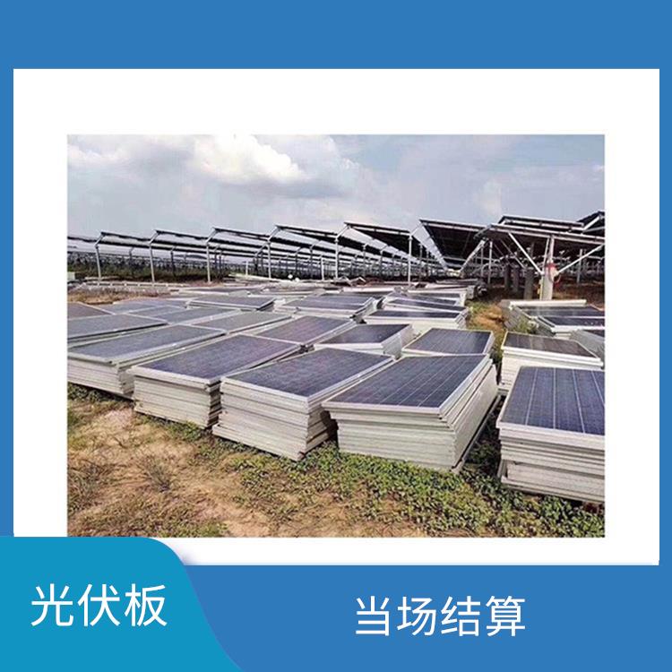 秦皇岛太阳能光伏板回收电话 当场结算 诚信定价