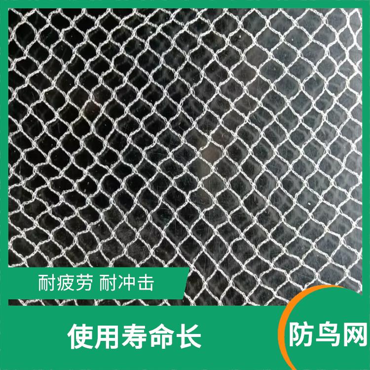 天津不锈钢防鸟网批发 网孔均匀 使用寿命长