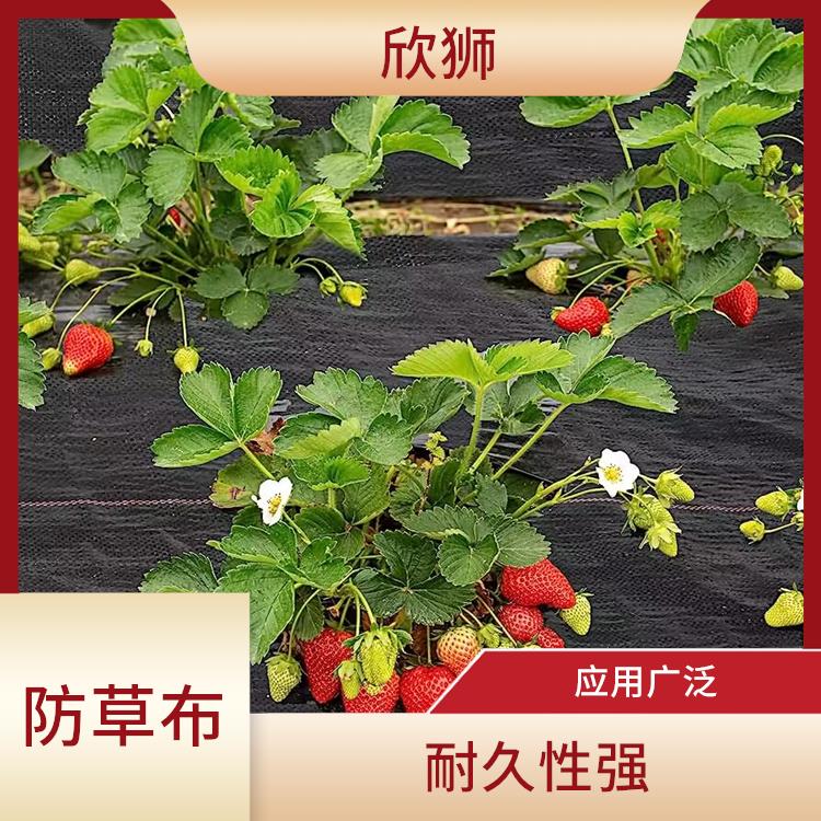 上海农用防草布生产厂家 透气好 优选原料