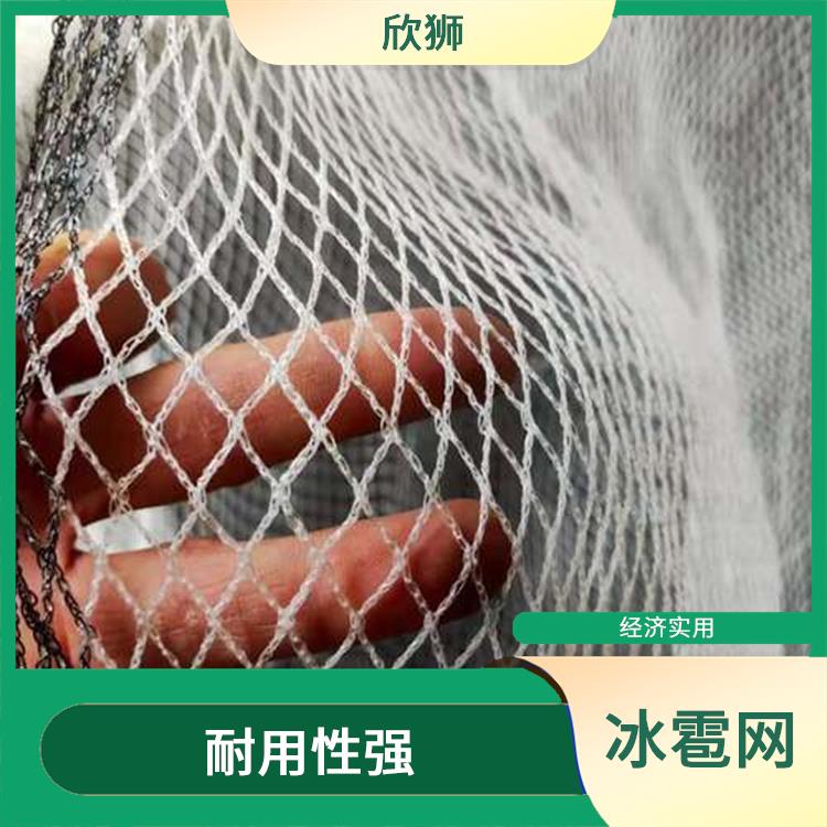 上海菱形防冰雹网联系电话 适用广泛 安装方便
