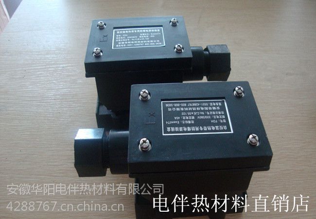 制造 电伴热带防爆伴热带电源接线盒 首端接线盒