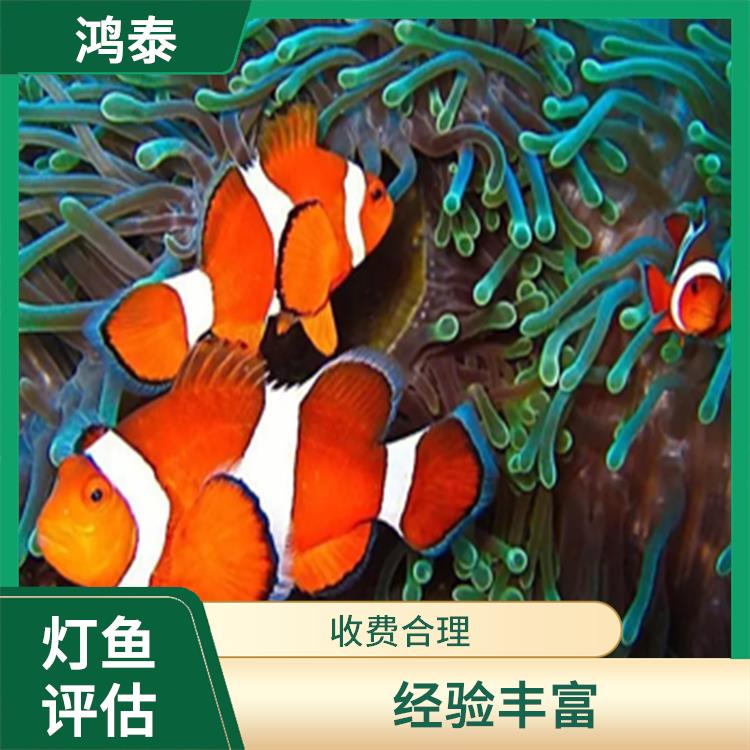 武汉市热带鱼评估 可靠性较高 多年评估经验