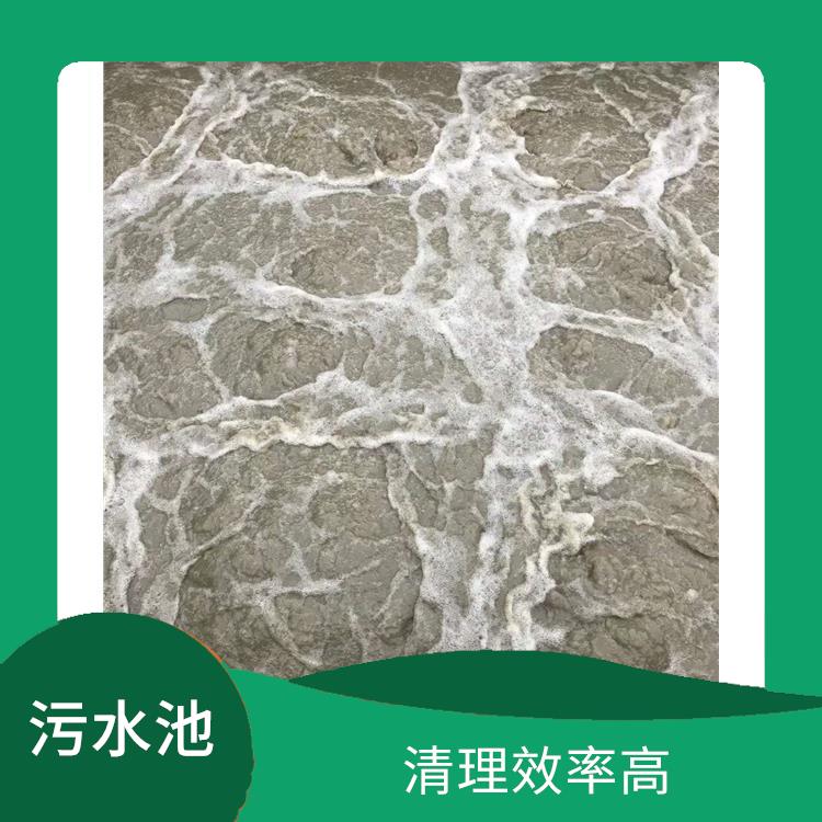 清理污水池 施工规范化 黄浦区污水池清理