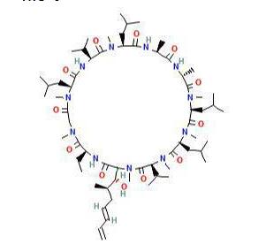 Voclosporin