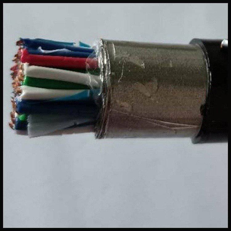PTYL23-21芯铁路信号电缆 天联牌 24芯铠装通信电缆