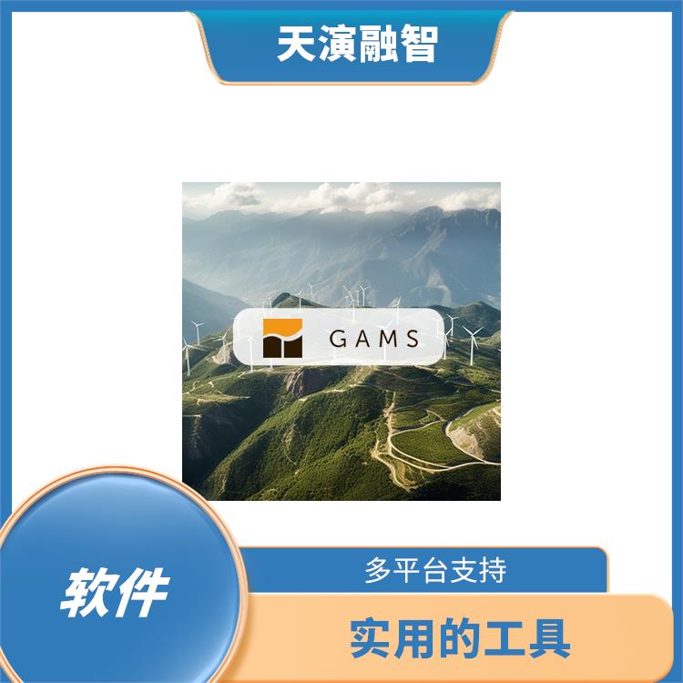 gams软件正版 图形化展示 多种数据格式支持