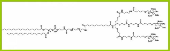 DSPE-PEG-galnac新研