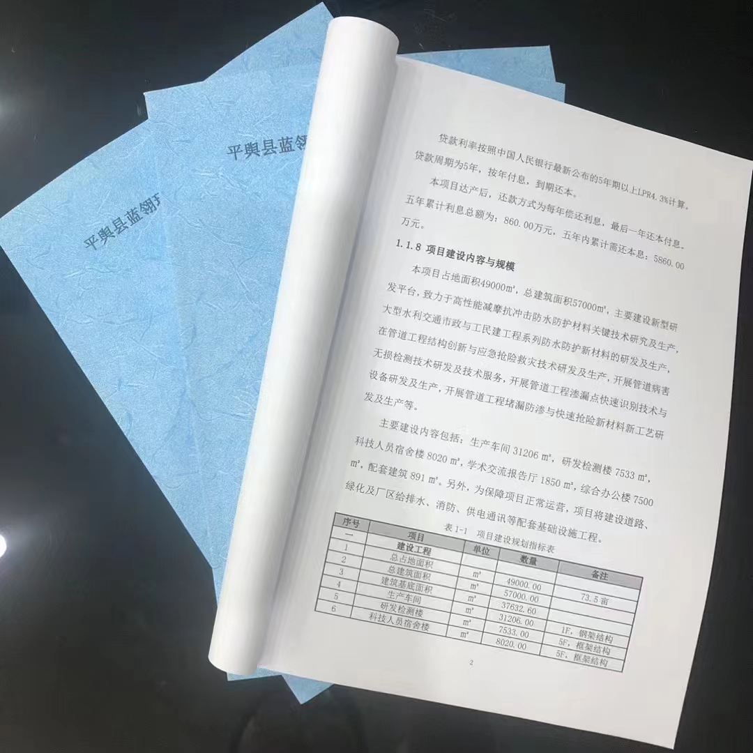 襄樊市编制可行性研究报告公司