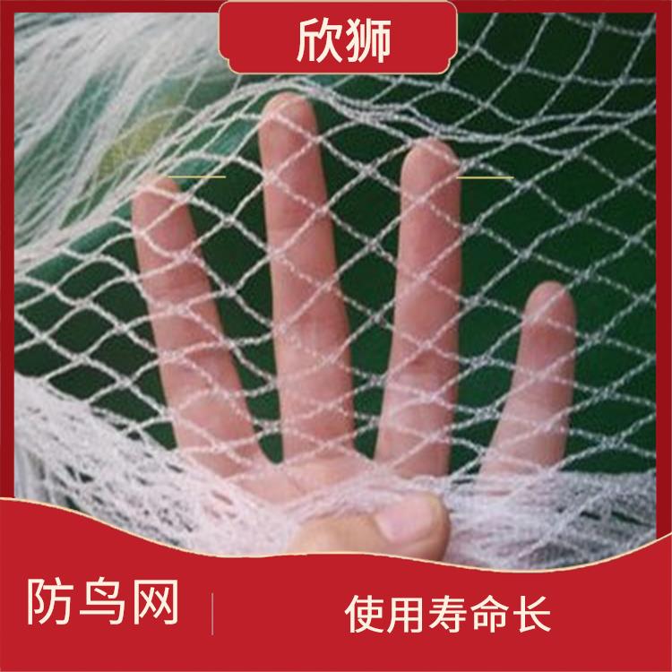 安徽防鸟网价格 网孔均匀 不易破损或腐烂