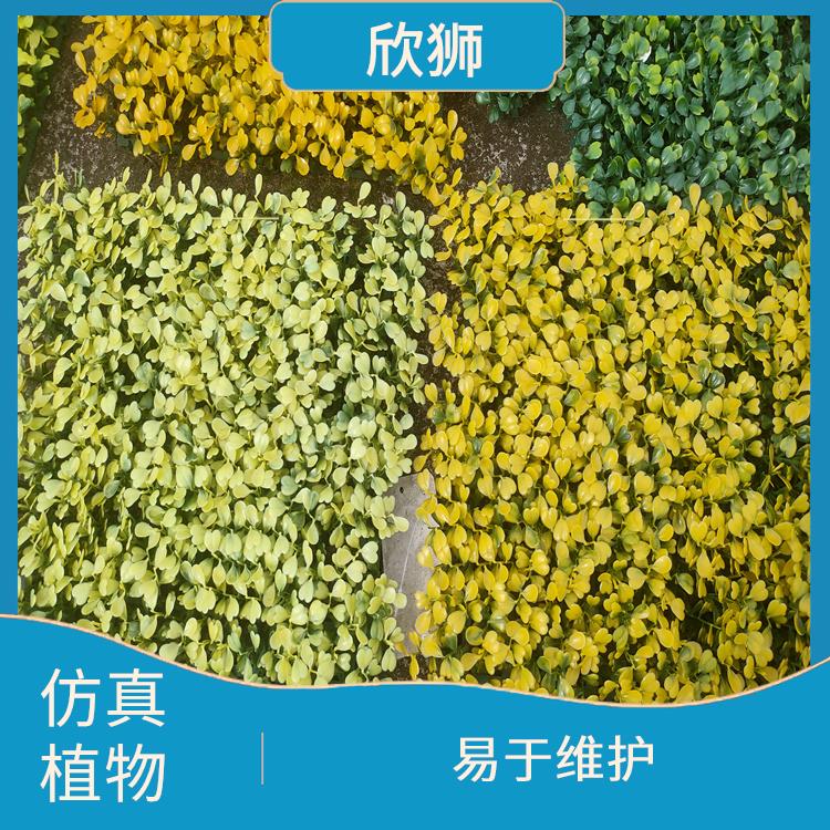 北京仿真植物抗老化母粒供应 耐候性强 可塑性强