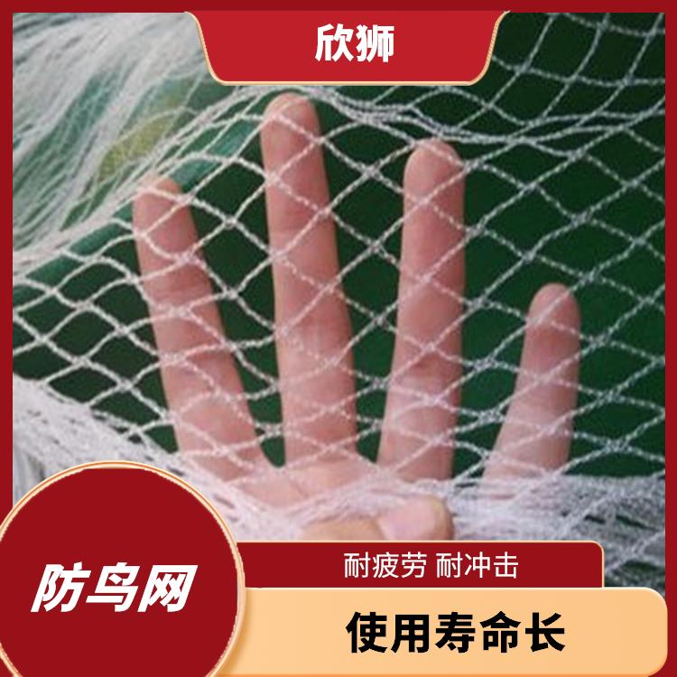 杭州不锈钢防鸟网联系电话 应用广泛 整体结构坚固