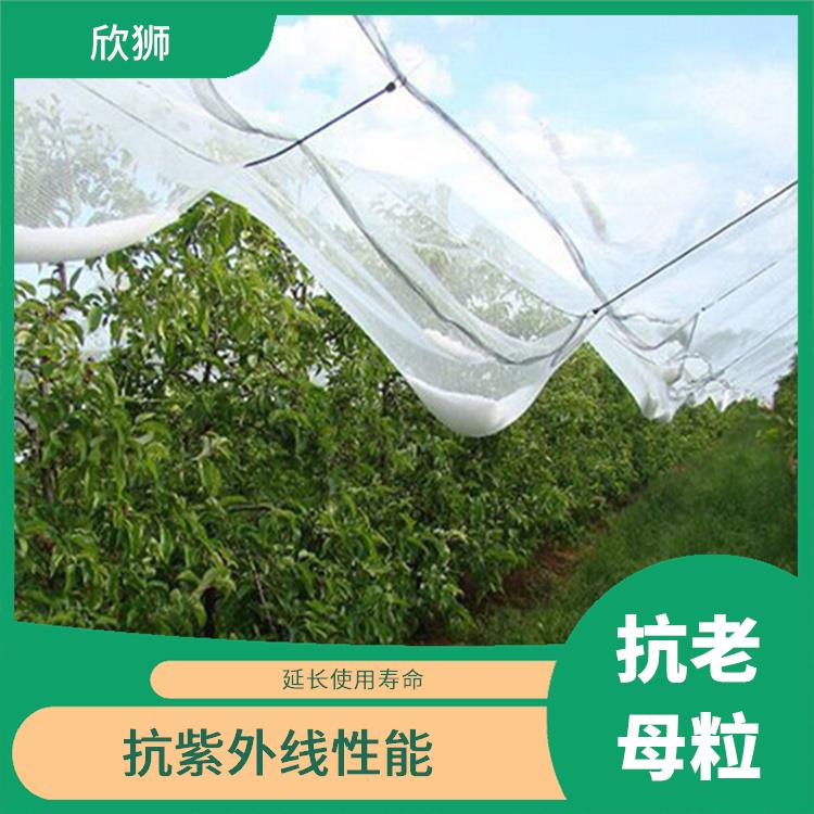 上海圆丝抗老化母粒供应 抗紫外线性能 抗化学腐蚀性能
