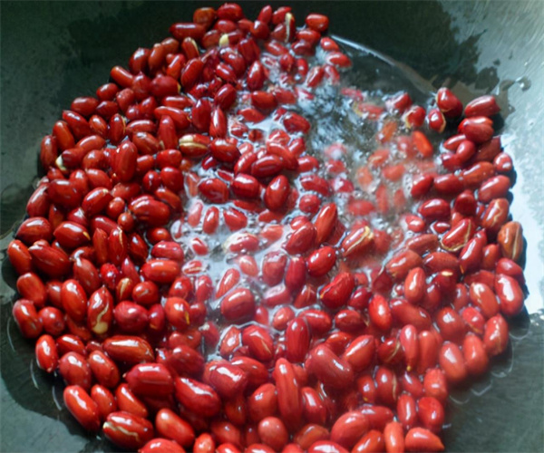 熟制豆类的检测去哪做 惠州市熟制豆类重金属检测机构