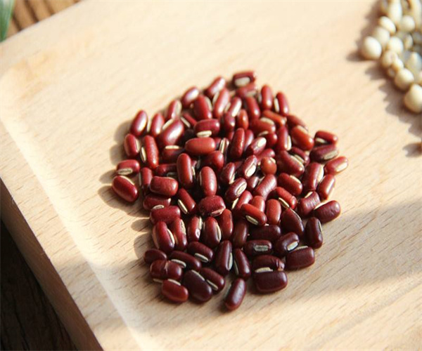熟制豆类的检测去哪做 惠州市熟制豆类重金属检测机构