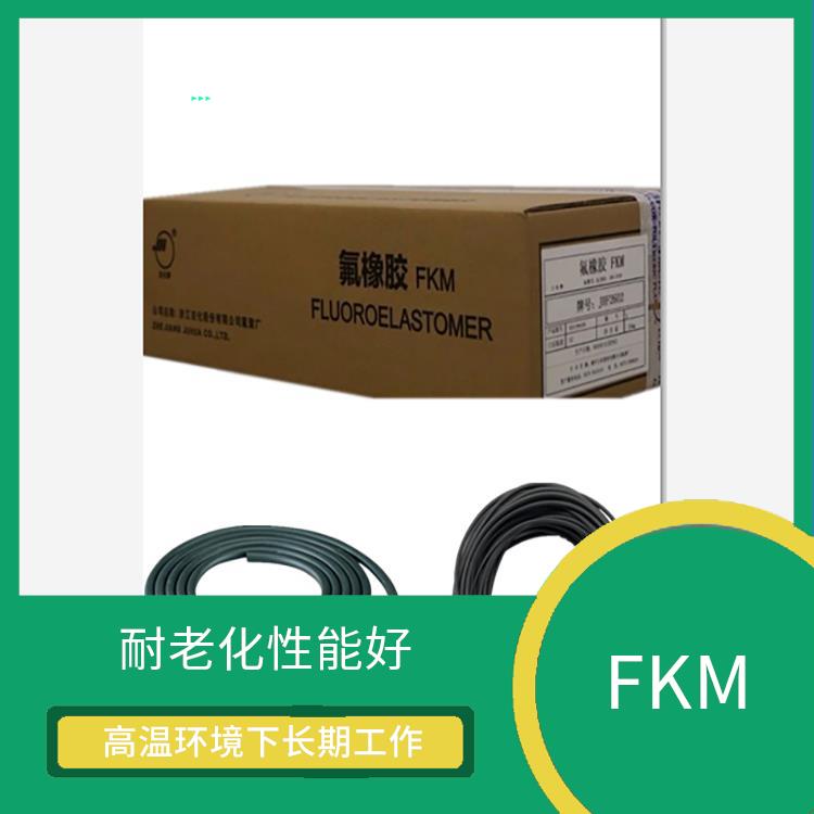 氟橡膠 耐老化性能好 FKM 良好的氣密性