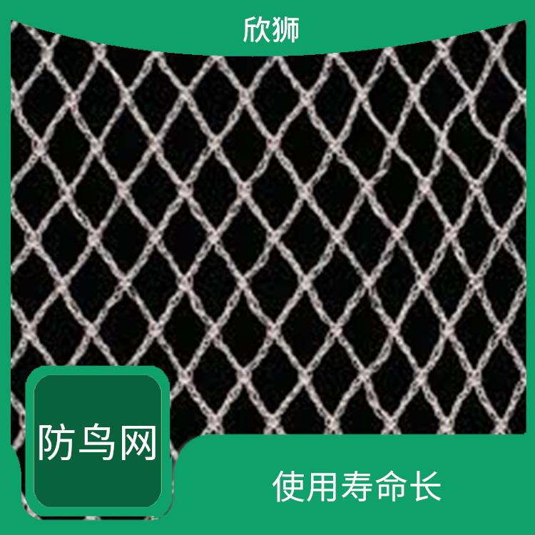 南京不锈钢防鸟网厂家 网孔均匀 拉力强度大
