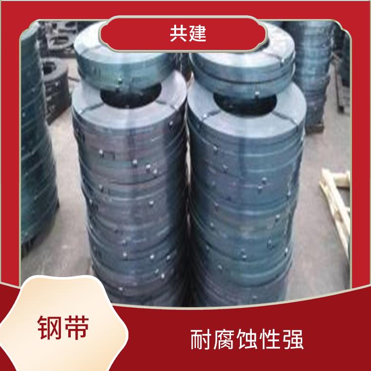 广安地区钢带 高强度 耐腐蚀性强