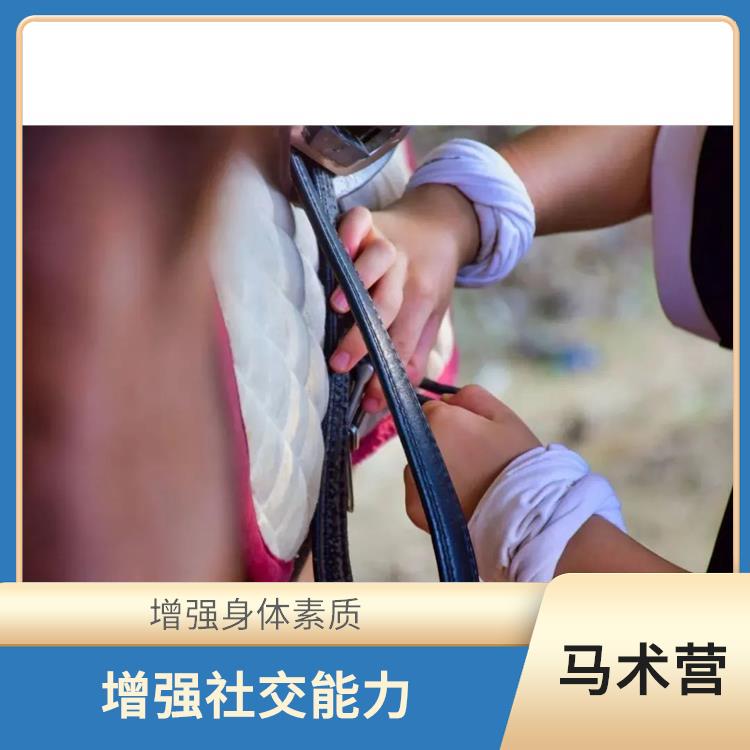 广州国际马术营报名 增强孩子的自信心 增强身体素质