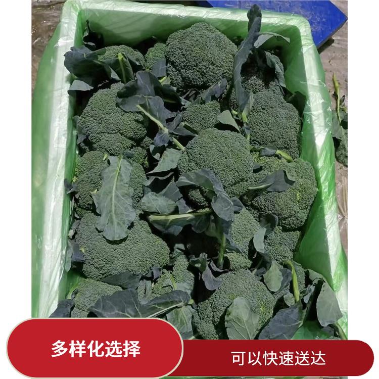 深圳調(diào)料配送公司 多樣化選擇