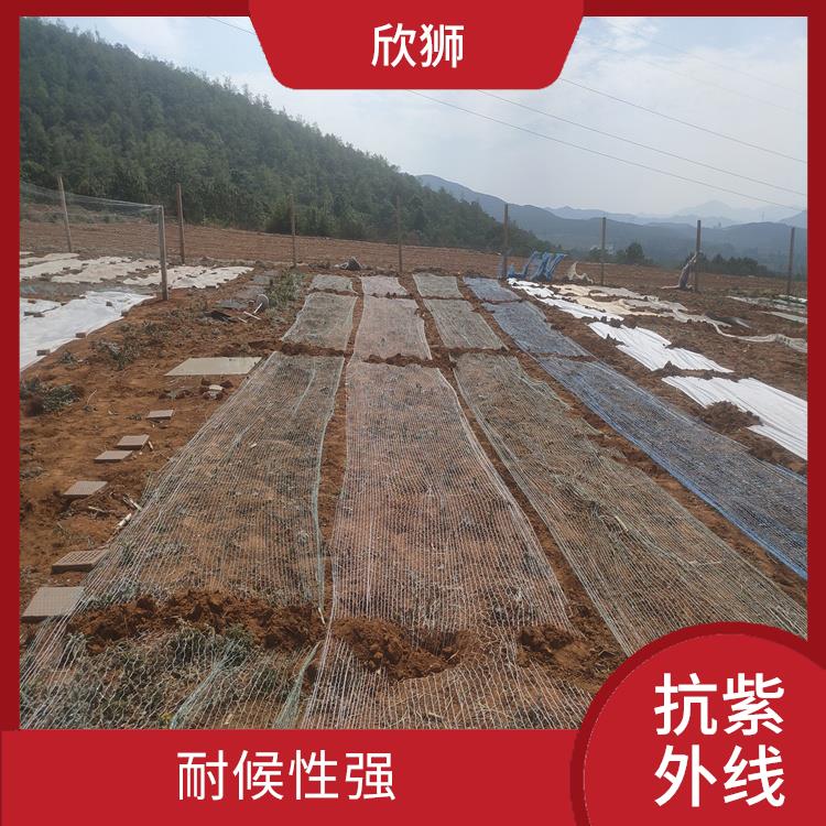 杭州捆草网抗老化母粒厂家 耐候性强 稳定性高