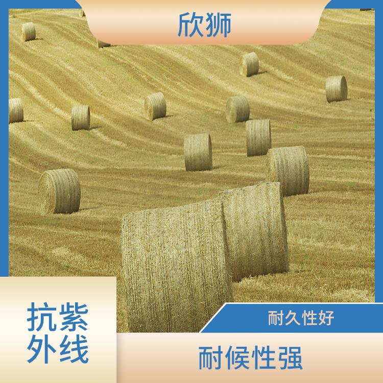 杭州捆草网抗老化母粒供应 耐久性好 不易磨损或破裂
