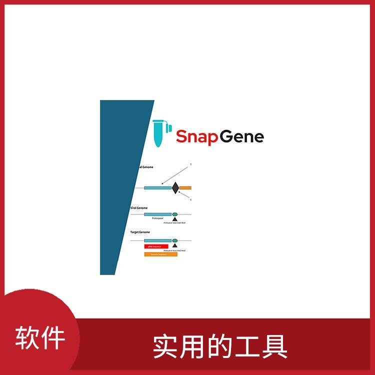 snapgene 图形化展示 多种数据格式支持