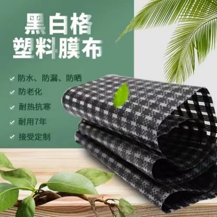 南京塑料布薄膜厂家 防渗土工布反滤布 具有一定的透气性