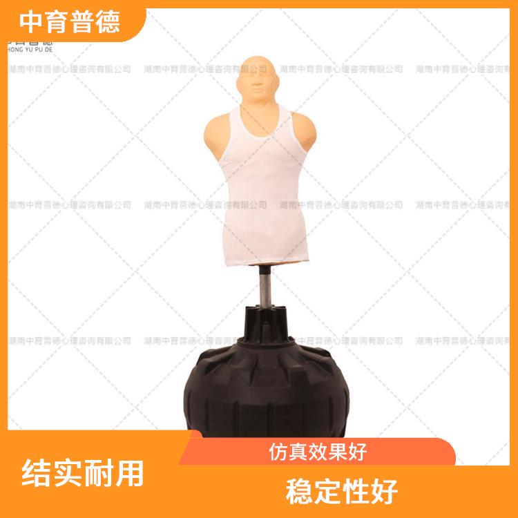 心理设备软硬件生产厂家 造型美观 外置受力感应系统