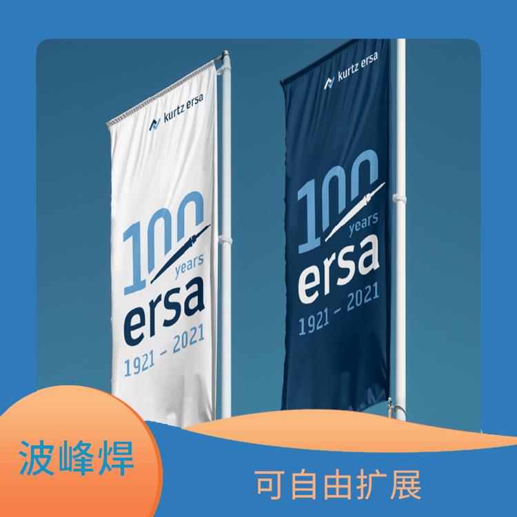 北京 ERSA 选择性波峰焊 配置灵活 点焊群焊模块自由组合