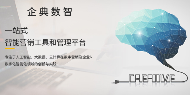 柳州搜索引擎优化获客有哪些 广西柳州企典数字传媒科技供应