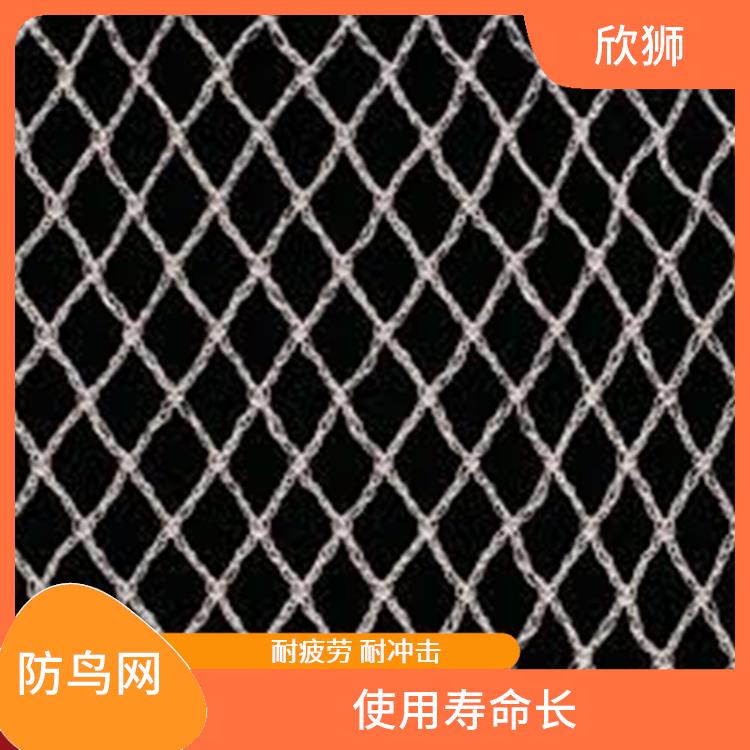 天津防鸟网厂家 不易变形 不易破损或腐烂