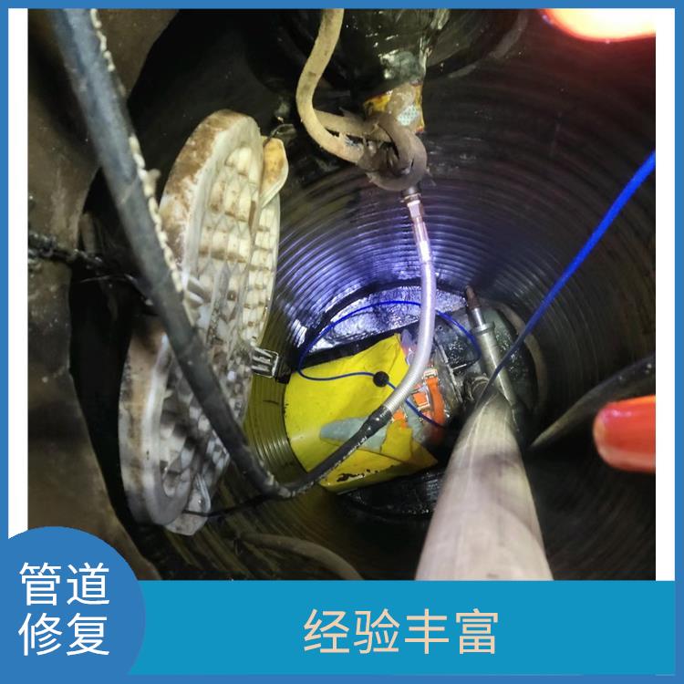 上海地下管道检测施工方案 服务快捷 排水管道检测