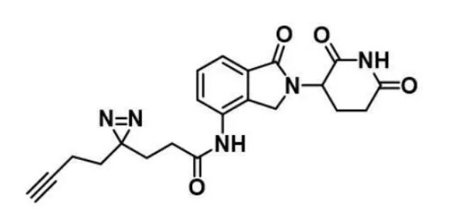 Alkyne-Diazirine-CONH-L..