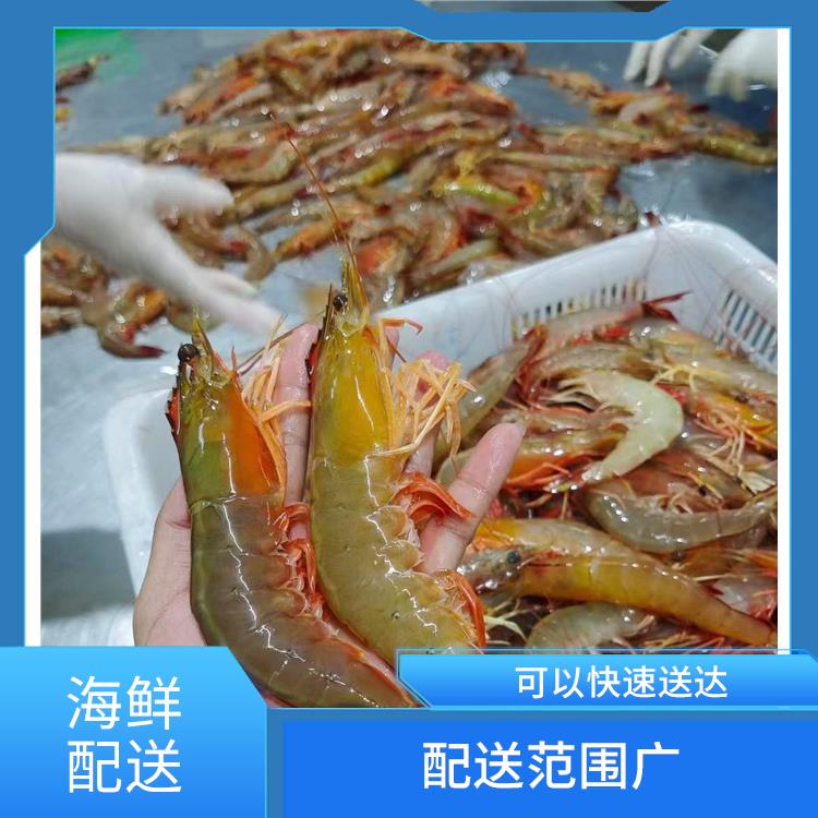 东莞企石海鲜配送平台 能满足不同菜品的需求