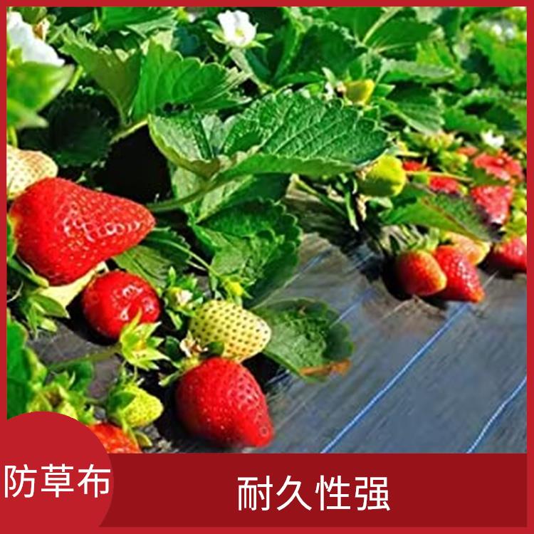 杭州蔬菜种植防草布生产厂家 应用广泛 实用美观