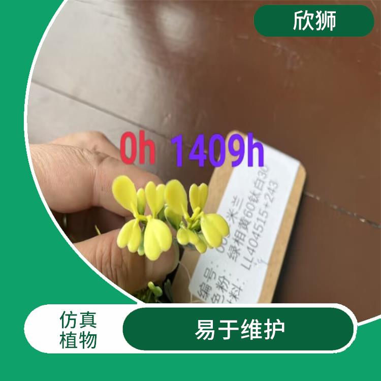 南京仿真植物抗老化母粒批发 广泛应用 可塑性强