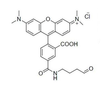 Rhodamine aldehyde