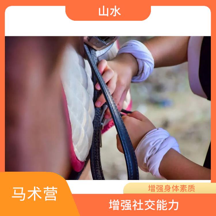 广州国际马术营报名 活动内容丰富多彩 培养青少年的团队意识
